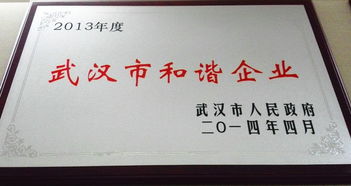 武汉知名品牌优秀律师事务所 专业法律咨询与委托代理服务