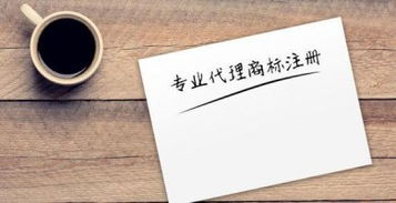 侵犯商标权纠纷的解决途径与法律要点